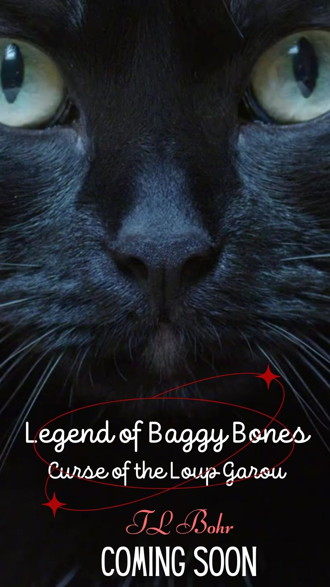 Legend of Baggy Bones Coming Soon Book Cover Video